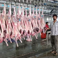 گوشت تازه