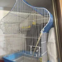 قفس پرنده