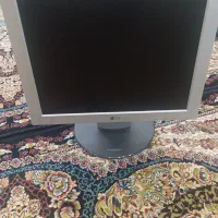 تلویزیون و مانیتور|تلویزیون و پروژکتور|مهاباد (آذربایجان غربی), |دیوار