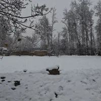 فروش-منزل-ویلایی-در-بهترین-لوکیشن-ناژولن