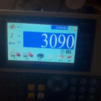 درخت صنوبر سه لای