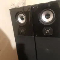 دو عدد باند