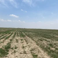 فروش-و-تهاتر-ملک-کشاورزی-5هکتاری