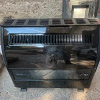 بخاری ادنیس بزرگ