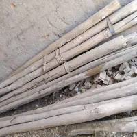 چوب سقفی