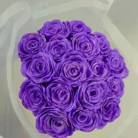 شب چله|گل مصنوعی|قم, نیروگاه|دیوار