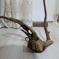 چوب آبنوس آکواریوم