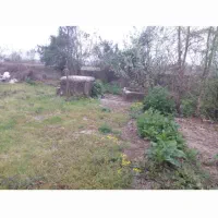 فروش زمین خانه کلنگی|فروش زمین و ملک کلنگی|رشت, لاکان شهر|دیوار