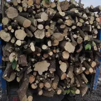 خرید انواع چوب های توباغی و مرکبات