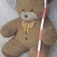 خرس بزرگ نشسته