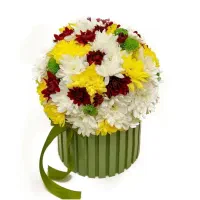 باکس گل ، بوکت گل رز،داوودی دسته ای گیاه آپارتمانی|گل و گیاه طبیعی|تهران, تهرانپارس شرقی|دیوار