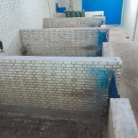 باشگاه سوارکاری چرخاب اشکذر|اجارهٔ مغازه و غرفه|اشکذر, |دیوار