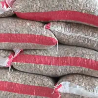 باقالی درجه یک|عمدهفروشی|چورزق, |دیوار