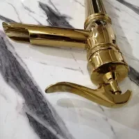 شیر طلایی