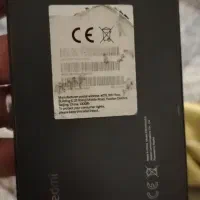 کوشی شیامی نت 12