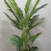 درختچه مصنوعی|گل مصنوعی|بندر کنگان, |دیوار