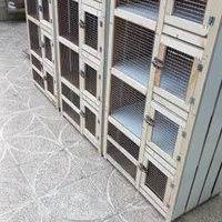 جفت کن جفتکن قفس چوبی کبوتر کفتر عروس هلندی|لوازم جانبی حیوانات|مشکین‌دشت, |دیوار