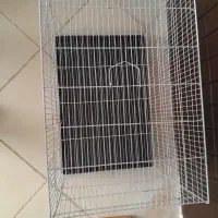قفس|لوازم جانبی حیوانات|گلبهار, شهر جدید گلبهار|دیوار