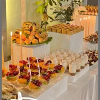 فینگر فود|خدمات پذیرایی، مراسم|بوشهر, |دیوار