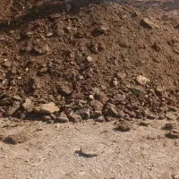 کود گوسفندی|گل و گیاه طبیعی|پیر بکران, |دیوار