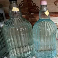 گلاب خانگی