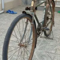 دوچرخه بزرگسال فونیکس|دوچرخه، اسکیت، اسکوتر|بندر ترکمن, |دیوار