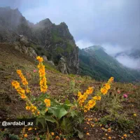 دو شناسنامه پیدا شده