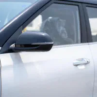 کیا سلتوس ۲۰۲۵ فول سقف مشکی صندلی برقی|خودرو سواری و وانت|اهواز, شهرک نفت|دیوار