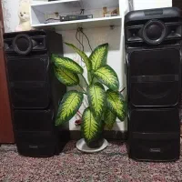 اسپیکر|سیستم صوتی خانگی|رفسنجان, |دیوار