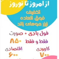 لیزر موهای زاید|خدمات آرایشگری و زیبایی|قرچک, مهدیه|دیوار