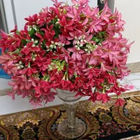 گلهای خارجی