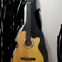 گیتار دیاموند بهمراه کیف