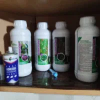 کود بوسفلاندرا
