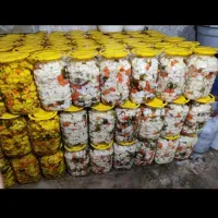 خیار شور درجه یک و ترشی خونگی