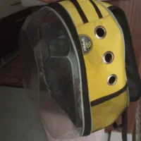باکس سگ وگربه