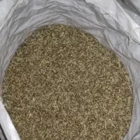 جونمیز
