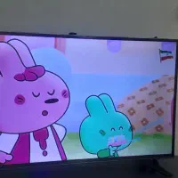 تلویزیون ۴۳