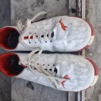 کفش سالن|کیف، کفش، کمربند|بیرجند, |دیوار