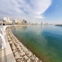 خرید پیش فروش پذیر نویسی رو اسکلت گودبرداری ...