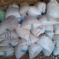 خار|لوازم جانبی حیوانات|گناباد, |دیوار