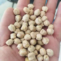 نخود درجه یک