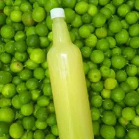 آبلیموی طبیعی به شرط تست