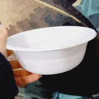 ظرف یکبار مصرف