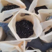 خاک گلدان|گل و گیاه طبیعی|رباط‌کریم, نوده|دیوار