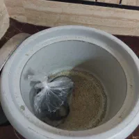 پلوپز 16نفره پارس خزر|ظروف پختوپز|شوشتر, |دیوار