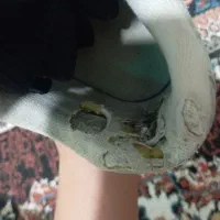 کتونیzx|کیف، کفش، کمربند|نسیم‌شهر, |دیوار