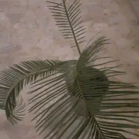 سیکاس ماده بچه زا حنس خوب|گل و گیاه طبیعی|رشت, دیلمان|دیوار