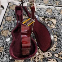 گیتار والدن ۳۵۰