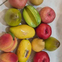 سبد پلاستیکی و میوه های پلاستیکی|صنایع دستی و سایر لوازم تزئینی|بندرعباس, |دیوار