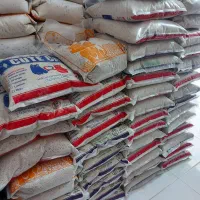 پخش خاک گربه|لوازم جانبی حیوانات|مشهد, گلبرگ|دیوار